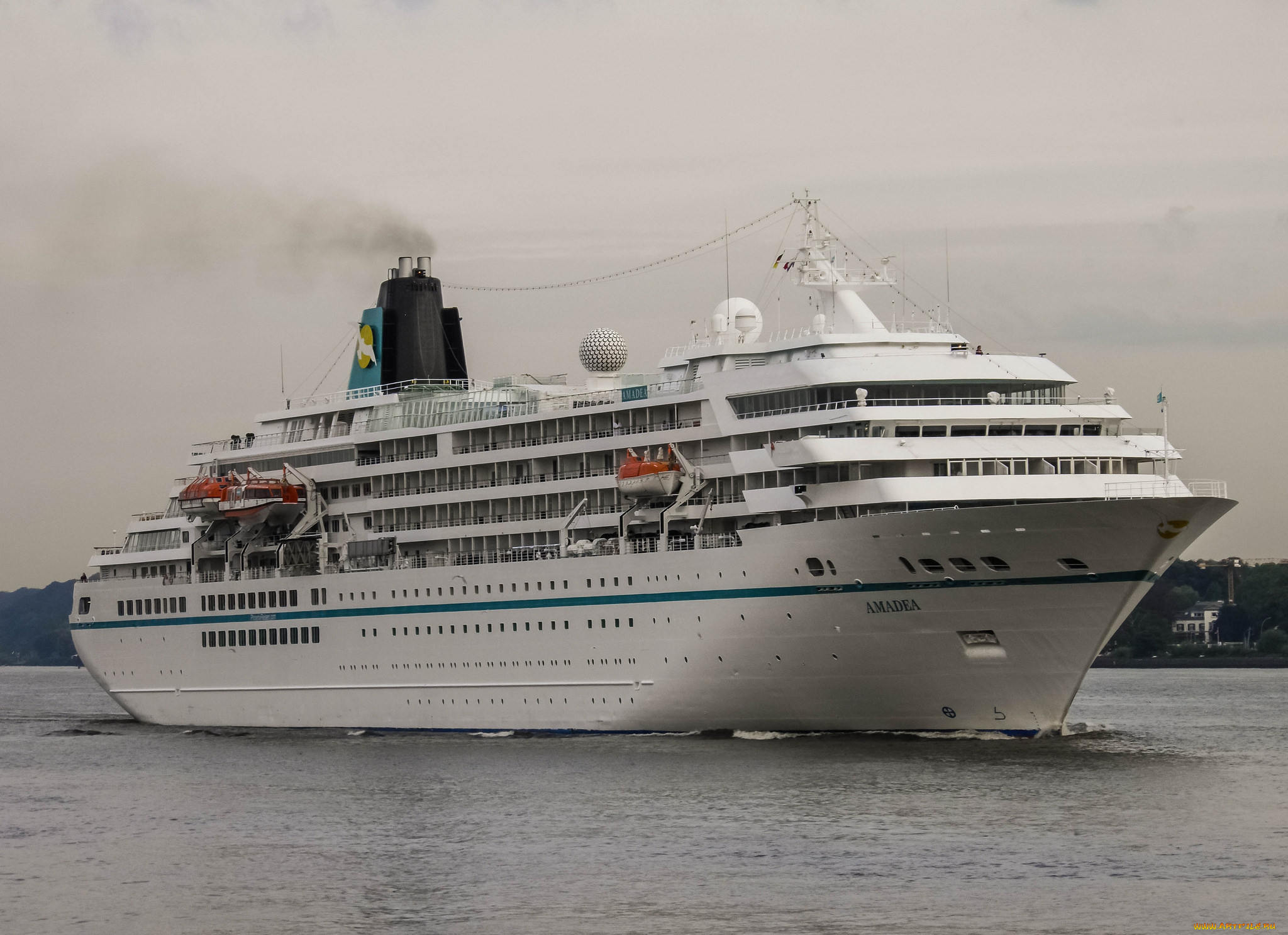 amadea, , , , 